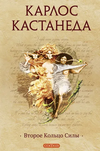 Обложка книги «Второе кольцо силы»