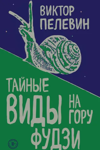 Обложка книги «Тайные виды на гору Фудзи»