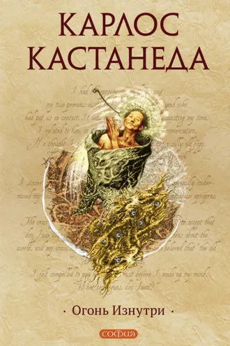 Обложка книги «Огонь Изнутри»