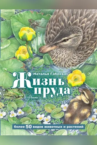 Обложка книги «Жизнь пруда»