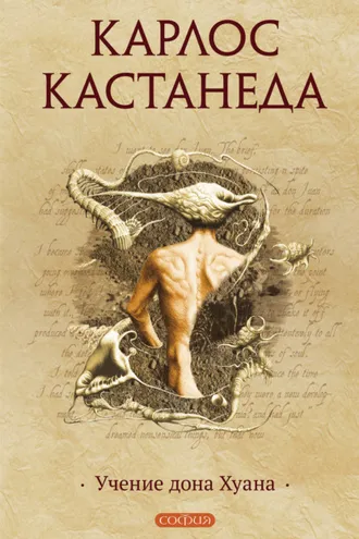 Обложка книги «Учение дона Хуана»