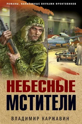 Обложка книги «Небесные мстители»