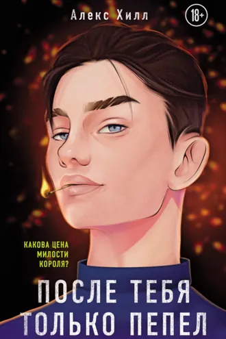 Обложка книги «После тебя только пепел»