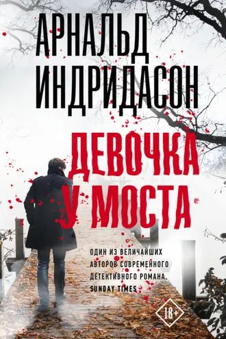 Обложка книги «Девочка у моста»