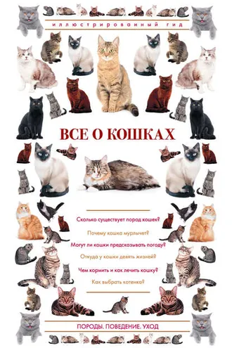 Обложка книги «Все о кошках. Иллюстрированный гид»