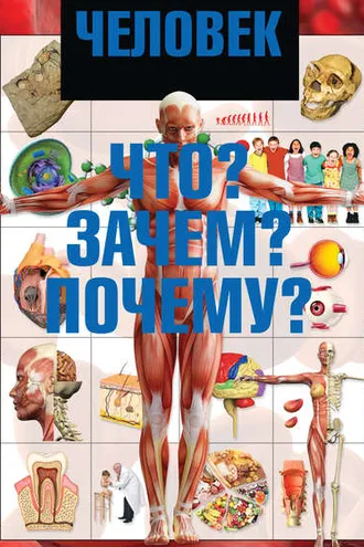Обложка книги «Человек. Что? Зачем? Почему?»