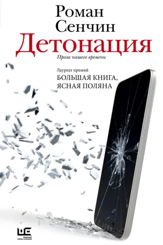 Обложка книги «Детонация»