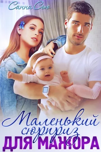 Обложка книги «Маленький сюрприз для мажора»