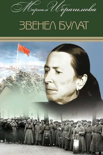 Обложка книги «Звенел булат»
