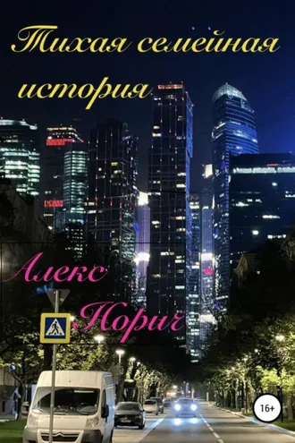 Обложка книги «Тихая семейная история»