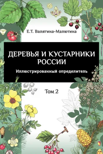 Обложка книги «Деревья и кустарники России. Иллюстрированный определитель. Том 2»