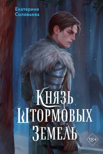 Обложка книги «Князь Штормовых Земель»