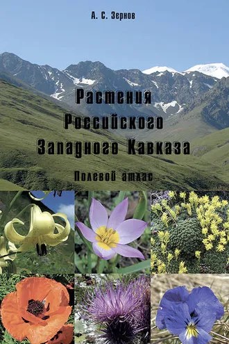 Обложка книги «Растения Российского Западного Кавказа. Полевой атлас»