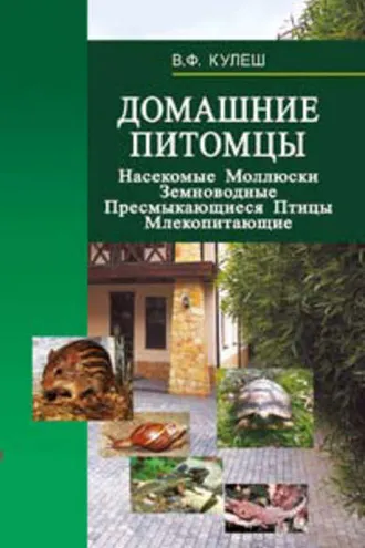 Обложка книги «Домашние питомцы: Насекомые. Моллюски. Земноводные. Пресмыкающиеся. Птицы. Млекопитающие»
