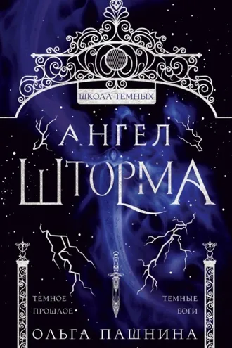 Обложка книги «Школа темных. Ангел шторма»