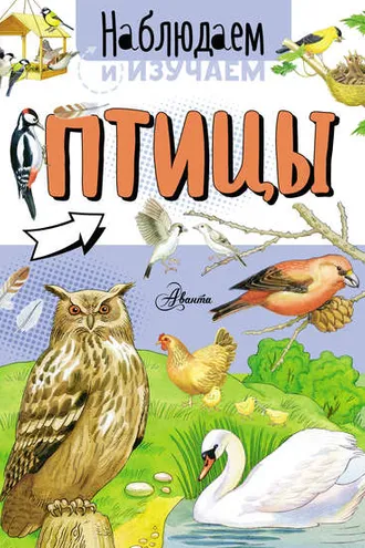 Обложка книги «Птицы»