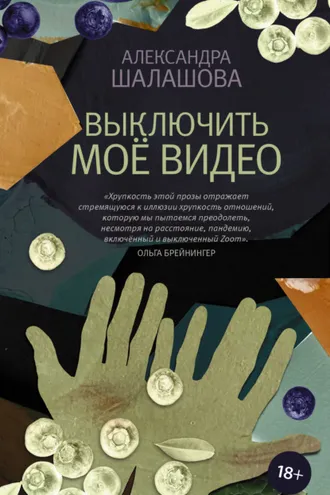 Обложка книги «Выключить моё видео»