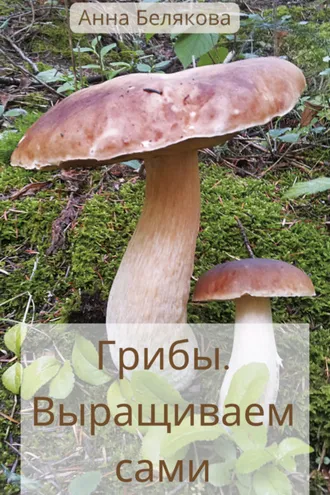 Обложка книги «Грибы. Выращиваем сами»