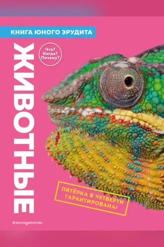 Обложка книги «Животные. Книга юного эрудита»