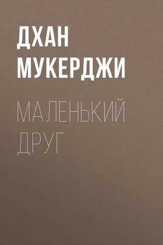 Обложка книги «Маленький друг»