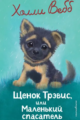 Обложка книги «Щенок Трэвис, или Маленький спасатель»