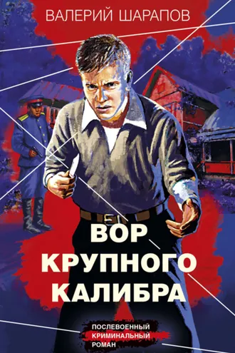 Обложка книги «Вор крупного калибра»