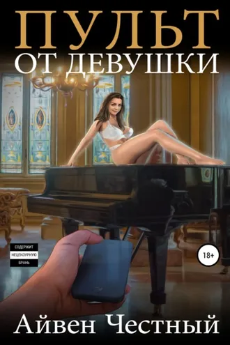 Обложка книги «Пульт от девушки»