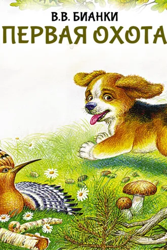 Обложка книги «Первая охота»