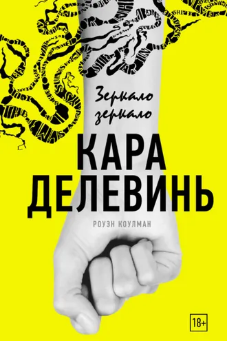 Обложка книги «Зеркало, зеркало»