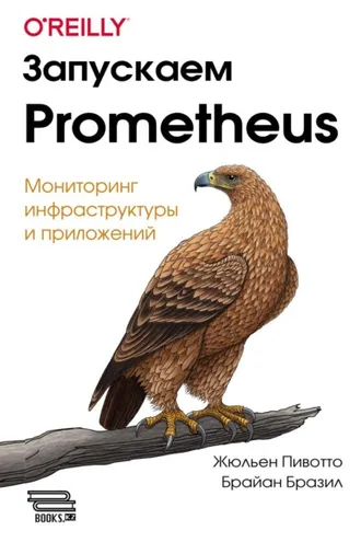 Обложка книги «Запускаем Prometheus. Мониторинг инфраструктуры и приложений»