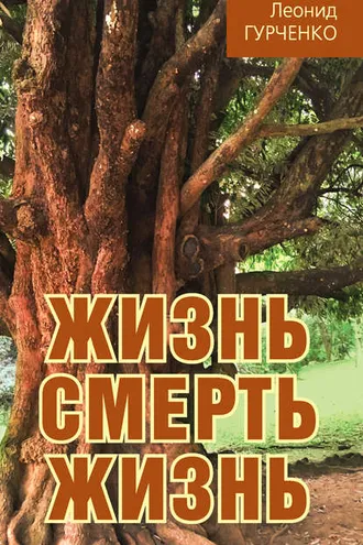 Обложка книги «Жизнь – смерть – жизнь»