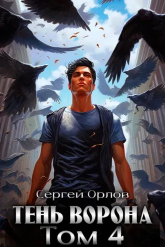 Обложка книги «Тень Ворона – 4»