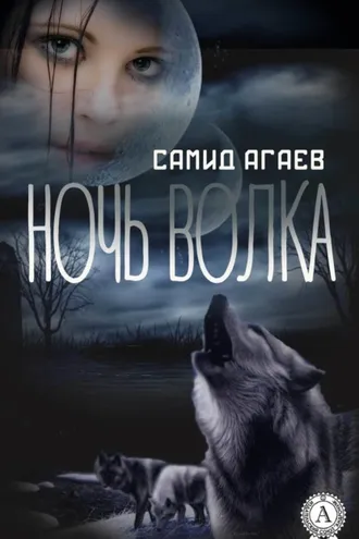 Обложка книги «Ночь Волка»