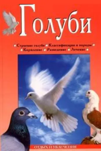 Обложка книги «Голуби»