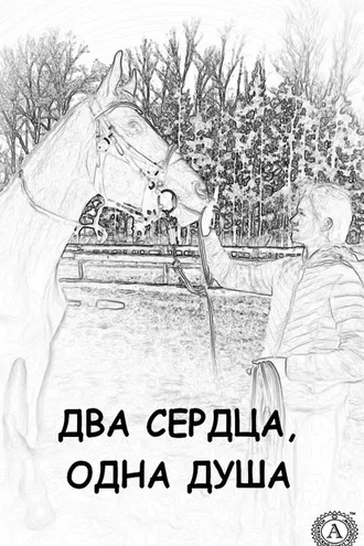 Обложка книги «Два сердца, одна душа»