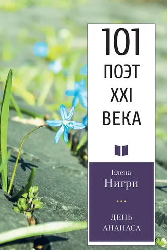 Обложка книги «День ананаса»