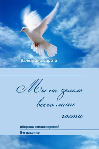 Обложка книги «Мы на земле всего лишь гости… (сборник)»