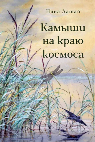 Обложка книги «Камыши на краю космоса»