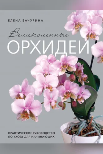 Обложка книги «Великолепные орхидеи. Практичное руководство по уходу для начинающих»