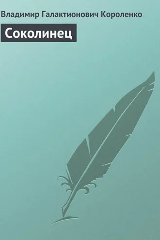 Обложка книги «Соколинец»