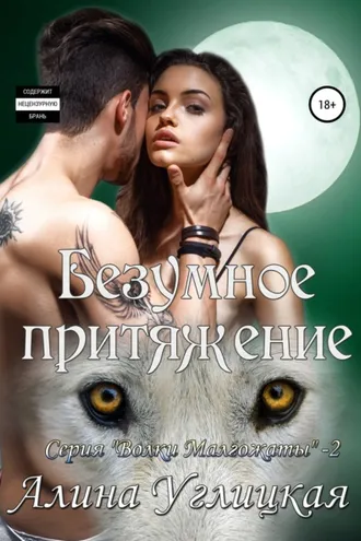 Обложка книги «Безумное притяжение»