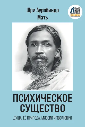 Обложка книги «Психическое Существо: Душа, её природа, миссия и эволюция»