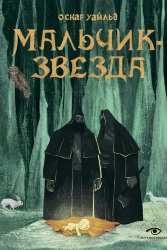 Обложка книги «Мальчик-Звезда»