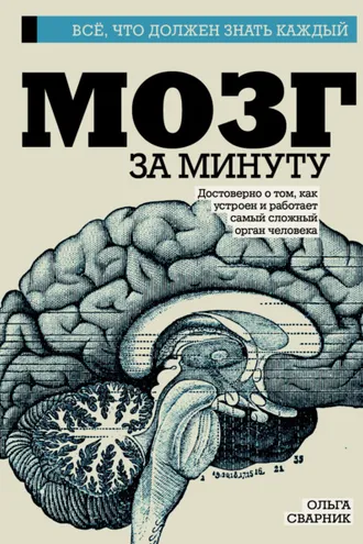 Обложка книги «Мозг за минуту»