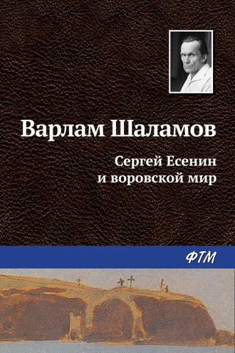 Обложка книги «Сергей Есенин и воровской мир»