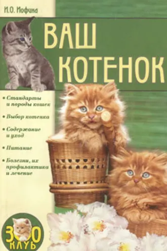Обложка книги «Ваш котенок»