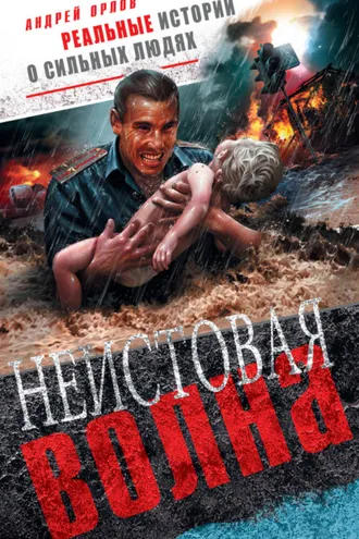 Обложка книги «Неистовая волна»