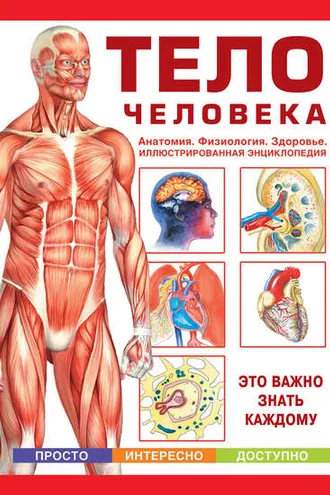 Обложка книги «Тело человека. Анатомия. Физиология. Здоровье»