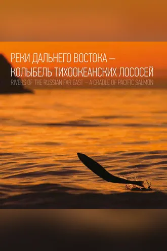 Обложка книги «Реки Дальнего Востока – колыбель тихоокеанских лососей»