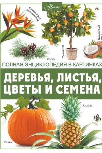 Обложка книги «Деревья, листья, цветы и семена»